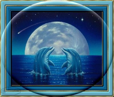 dauphin+lune