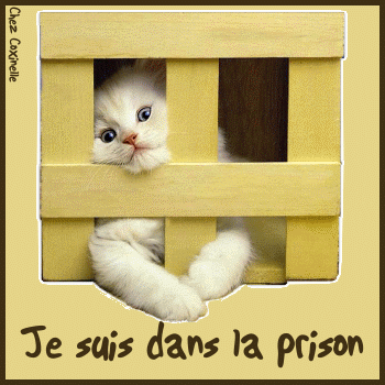 mignon