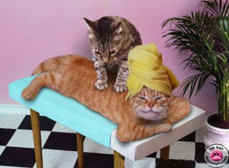 massotherapie