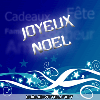 questionnaire de noel